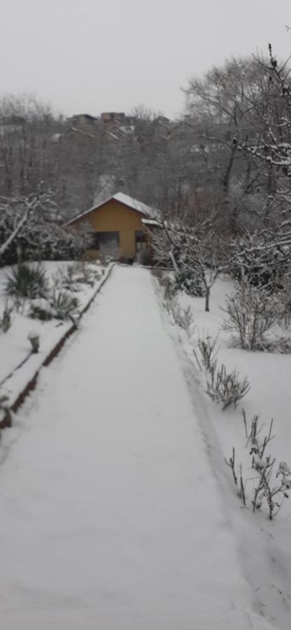 Pensiunea Lucia Ana Cluj-Napoca Luaran gambar